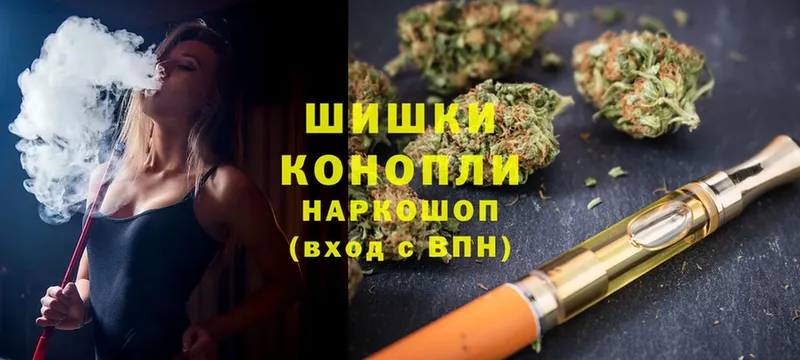 Бошки марихуана THC 21%  Каменка 